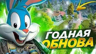 ПЕРВОЕ НОРМАЛЬНОЕ ОБНОВЛЕНИЕ 2024 ГОДА В CALL OF DUTY MOBILE | tiny toon codm