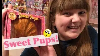 Sweet Pups by Sunny Days Entertainment – Surprise Transforming Plush Toy – Unboxing and Review