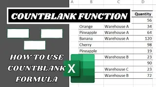 How To Use Countblank Function In Excel | Countblank Formula