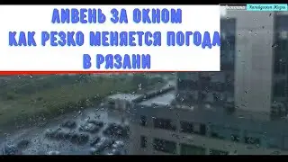 Ливень за окном. И как резко меняется погода в Рязани