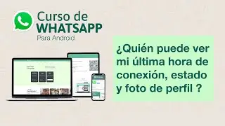 Quién puede ver mi última hora de conexión, estado y foto de perfil | Curso de Whatsapp