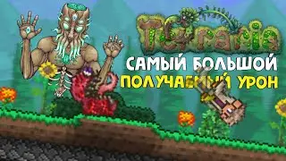 Какой самый большой получаемый урон в TERRARIA?