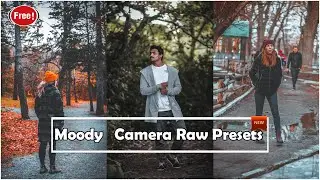 Top Premium Cinematic Photoshop Camera Raw Presets Free download | Cinematic Moody Presets