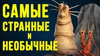 САМЫЕ СТРАННЫЕ И НЕОБЫЧНЫЕ РАСЫ В ЗВЕЗДНЫХ ВОЙНАХ | DARKSIDE TV
