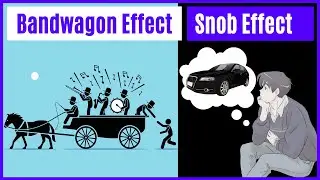 Bandwagon Effect and Snob Effect Explained | Ecoholics