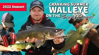 Cranking Summer Walleye on the Bay of Quinte