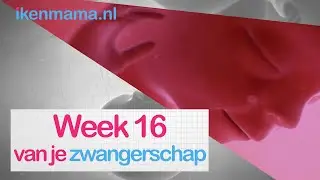 16 weken zwanger | ikenmama.nl