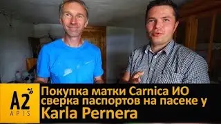 #Карника от Карла Пернера (#Karl Perner, Австрия)