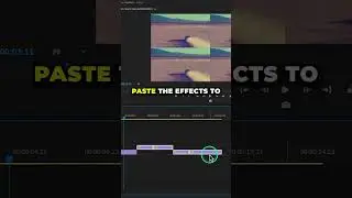 Copy & Paste Effects in Premiere Pro (EASY!)