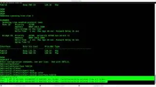 Flex Links Backup Interface lab on Cisco Catalyst Switch