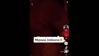русские молодёжь поймали мурада вот смотрите пишите комментарии
