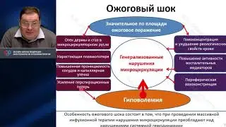 Патофизиология ожоговой травмы Афончиков В.С.