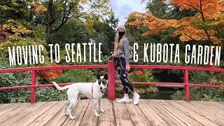 Moving Back to Seattle, A Van Leak, & Visiting Kubota Garden in the Fall | October Vlog