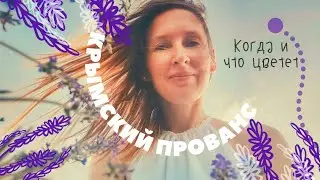 Самый цветущий выпуск YouTube |  Лавандовые поля в Тургеневке| Когда и что цветет в Крыму