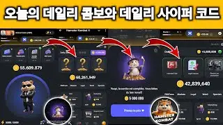 8월 28-29일 햄스터 컴뱃 데일리 콤보와 데일리 사이퍼 코드 오늘 🔥