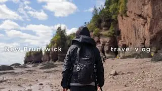 🇨🇦 things to do new brunswick travel vlog (ep.5): hopewell rocks,provincial park,canada road trip