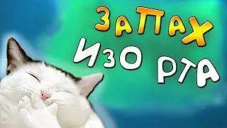 Причины и лечение запаха изо рта у кошек!