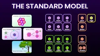 All Fundamental Forces and Particles Explained Simply | Elementary particles