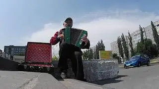 Белые розы на ГАРМОШКЕ