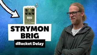 Strymon Brig dBucket Delay - Sound Demo