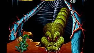 Battletoads arcade 3 player Netplay 60fps