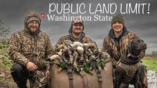 WA PUBLIC LAND DUCK HUNT | 3 MAN LIMIT!