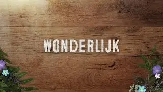 Wonderlijk | Sela