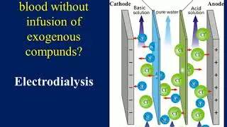 EXTRACORP CO2 REMOVAL ECCO2R   RATIONALE AND TECHNOLOGIES Antonio Pesenti  2015