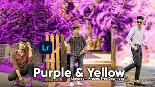 Purple and Yellow Lightroom Dng & Xmp Presets | Lightroom Presets Free | Lr Presets