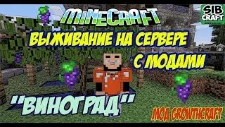 Minecraft выживание на сервере с модами / Виноград мод growthcraft (Как вырастить виноград)