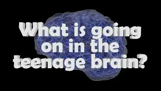 What is going on in the teenage (adolescent) brain? Animated explainer with focus on neurobiology