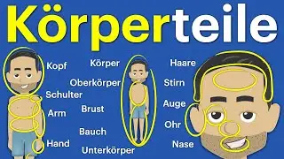 Body Parts. Learn German A1 A2.