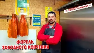 💥🔥💣 ФОРЕЛЬ ХОЛОДНОГО КОПЧЕНИЯ 💣🔥💥 КОПТИЛЬНЯ МОСКИТ