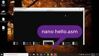 Instalar NASM y ejecutar hola mundo | Ensamblador x86_64 linux | Parte 1 HD