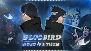 「Blue Bird」- @GOJO 's Open Collab [𝗔𝗠𝗩/𝗘𝗱𝗶𝘁] !