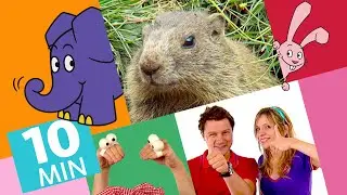 Hallo Elefant - Warum pfeifen Murmeltiere? & Zungenbrecher Murmeltier | Der Elefant | WDR
