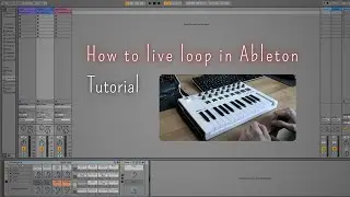 How to Live Loop in Ableton | Looping Tutorial | Arturia MiniLab Keyboard