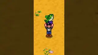 The Most Valuable Item You Can Sell In Stardew Valley