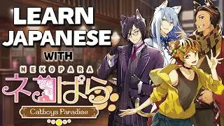 Learn Japanese with Nekopara - Catboys Paradise!「ネコぱら」 - Vocabulary Series #38