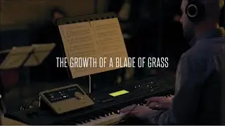 Julien Marchal - The Growth Of A Blade Of Grass (live 2/3)