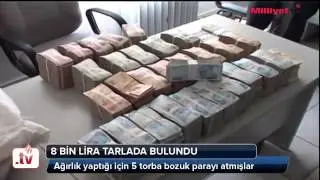 8 bin lirayı tarlaya attılar