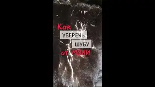 ❗Как сохранить шубу от моли🦋❓ Советы мастера ☑  Mexatele. Меховое Ателье Днепр.