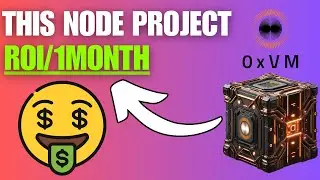 🚀 Earn Passive Income with 0xVM Nodes – 1-Month ROI Potential! 🚀