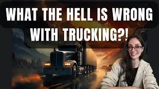 Trucking and Freight Market September 11, 2024: No One Takes Responsibility