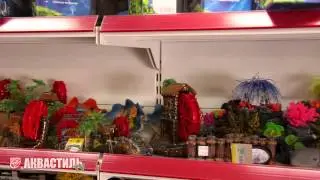 Гроты для аквариумов. Аквариумистика. Зоотовары
