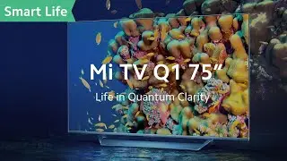 Mi TV Q1 75