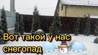 Зима проснулась🌨❄☃️Снегопад.