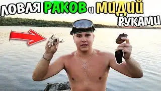 ЛОВЛЯ РАКОВ И МИДИЙ РУКАМИ | ВАРЮ И ЕМ РАКОВ|Пересохший пруд, хожу по дну водоема! Как поймать рака?