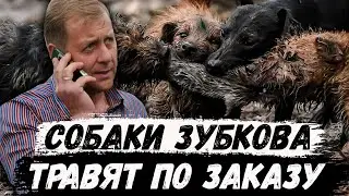Интервью с Виталием Гнединым. Тайган. Олег Зубков