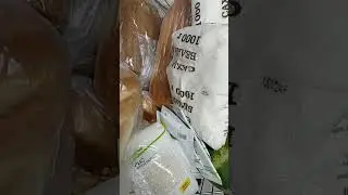 Еда у дома. Заводим Алис!